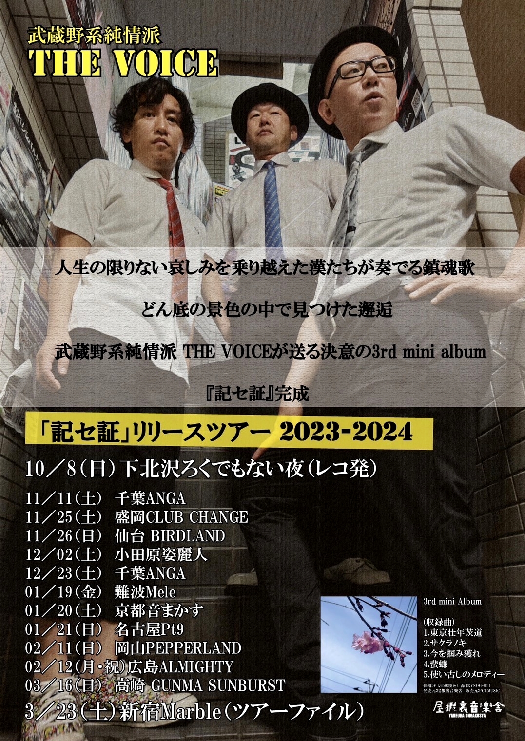 ������n����h THE VOICE