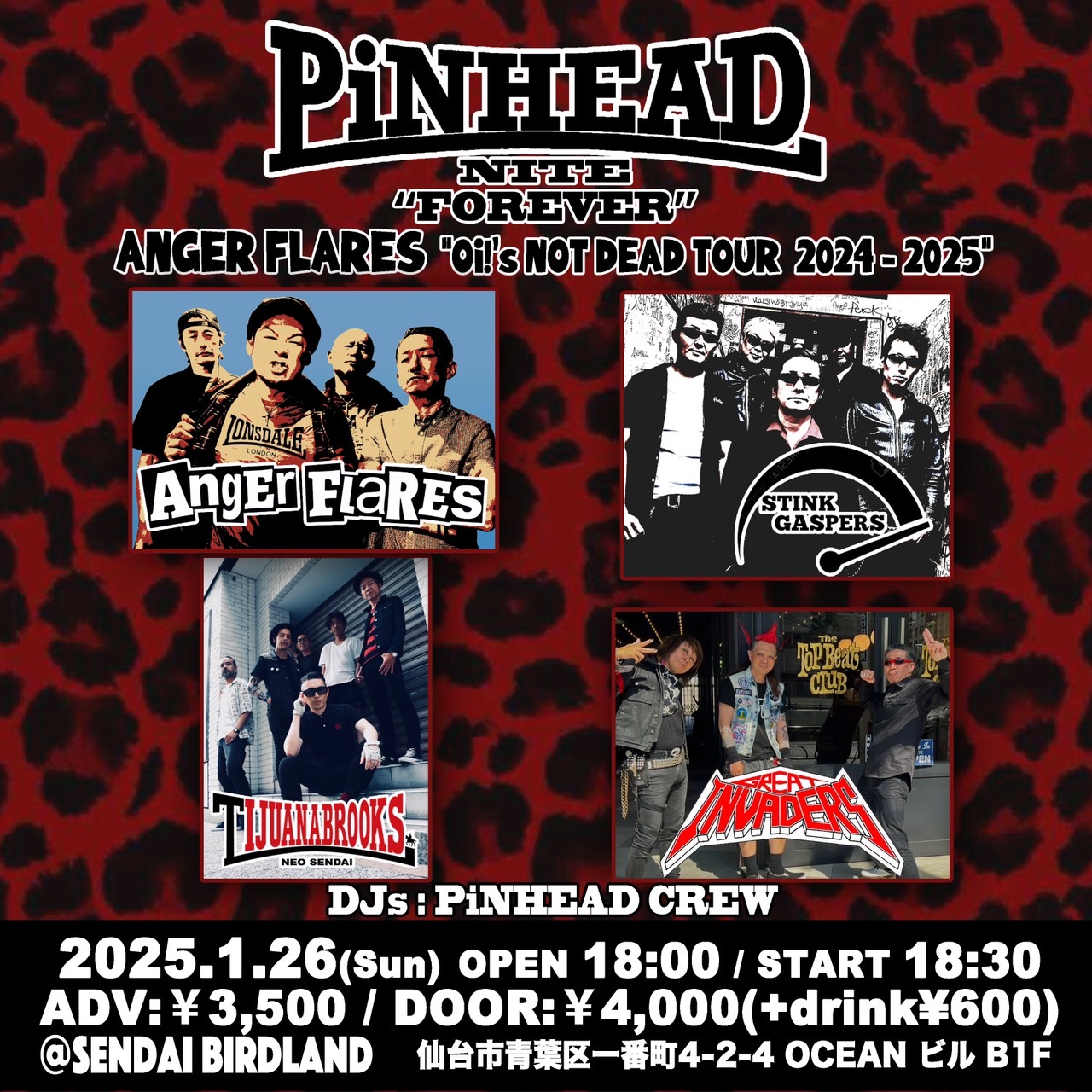 PiNHEAD NITE FOREVER